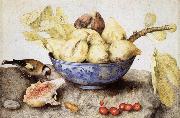 Giovanna Garzoni Chinese Cup with Figs,Cherries and Goldfinch Spain oil painting reproduction